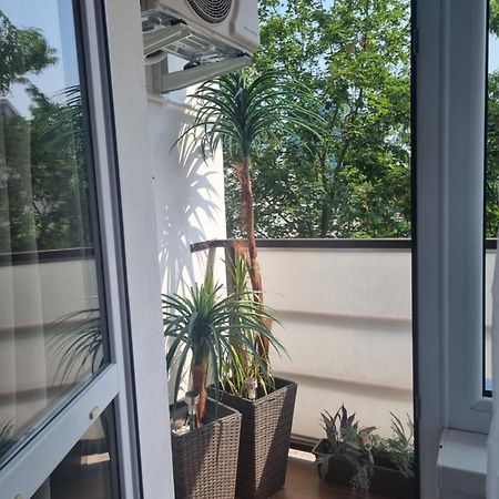 Apartman-Florianska Košice Eksteriør billede